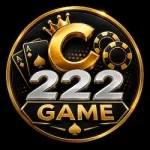 C222 game